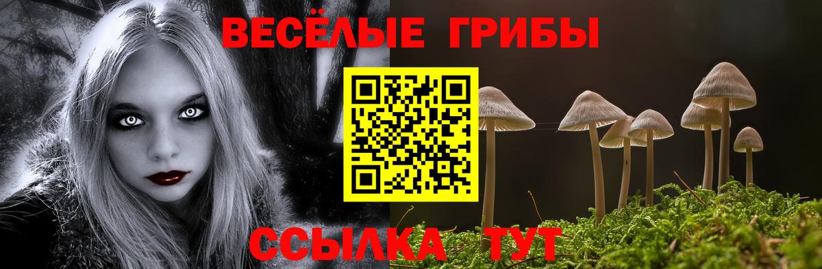 Псилоцибиновые грибы Psilocybe  Псилоцибиновые грибы мухоморы  Избербаш  Вход с VPN 